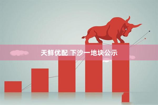 天鲜优配 下沙一地块公示