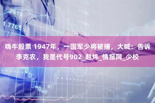 嗨牛股票 1947年，一国军少将被捕，大喊：告诉李克农，我是代号902_赵炜_情报网_少校
