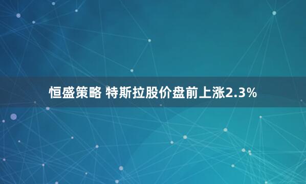 恒盛策略 特斯拉股价盘前上涨2.3%